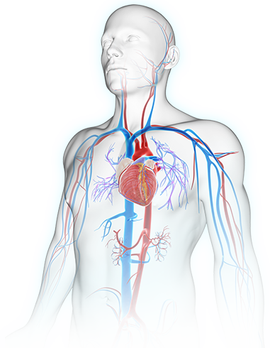 Aortic Surgery Guidelines